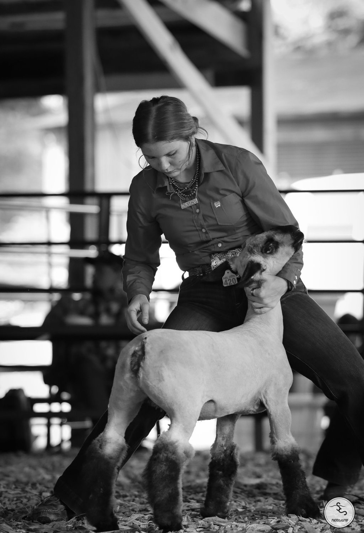 Youth exhibitor with champion show steer in livestock arena at golden hour
